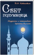 Свет полумесяца. Мудрость и поэтическая красота Ислама