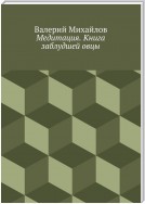 Медитация. Книга заблудшей овцы