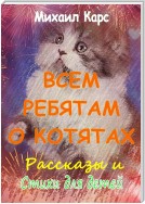 Всем ребятам о котятах