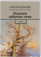 Осколки забытых снов. Стихи