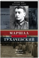 Маршал Тухачевский. Мозаика разбитого зеркала