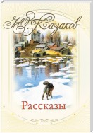 Рассказы