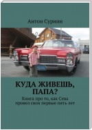 Куда живешь, папа? Книга про то, как Сева провел свои первые пять лет