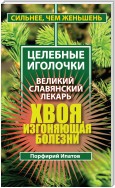 Хвоя, изгоняющая болезни. Великий славянский лекарь