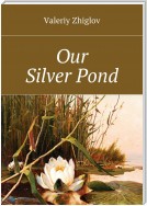 Our Silver Pond