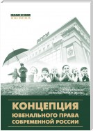 Концепция ювенального права современной России