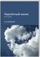 Перелётный жених. Книга первая