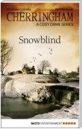 Cherringham - Snowblind