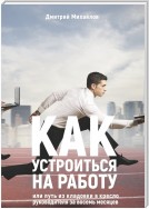 Как устроиться на работу. Или путь из кладовки в кресло руководителя за восемь месяцев