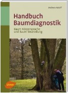 Handbuch Baumdiagnostik