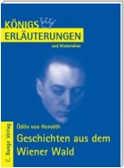 Geschichten aus dem Wiener Wald von Ödön Horváth. Textanalyse und Interpretation.