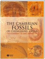 The Cambrian Fossils of Chengjiang, China