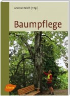 Baumpflege