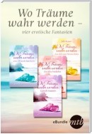 Wo Träume wahr werden - vier erotische Fantasien