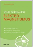 Wiley-Schnellkurs Elektromagnetismus