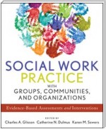 Social Work Practice with Groups, Communities, and Organizations