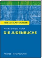 Die Judenbuche von Annette von Droste-Hülshoff. Alle erforderlichen Infos für Abitur, Matura, Klausur und Referat plus Musteraufgaben mit Lösungsansätzen.
