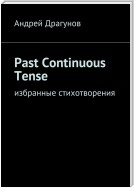 Past Continuous Tense. Избранные стихотворения