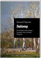 Любомир. По мотивам повести Веры Поповой «Ночь на Ярилу Мокрого»