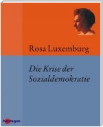 Die Krise der Sozialdemokratie (Junius-Broschüre)