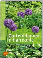 Gartenblumen in Harmonie