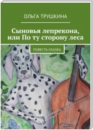 Сыновья лепрекона, или По ту сторону леса. Повесть-сказка