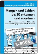 Mengen und Zahlen bis 20 erkennen und zuordnen