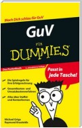 GuV für Dummies Das Pocketbuch