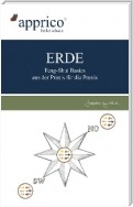 ERDE - Feng-Shui-Basics - aus der Praxis für die Praxis