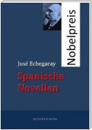 Spanische Novellen