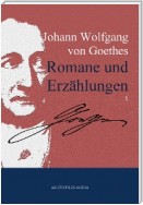 Johann Wolfgang von Goethes Romane und Erzählungen