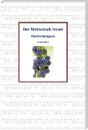 Der Weinstock Israel