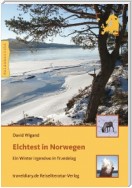 Elchtest in Norwegen