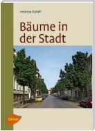 Bäume in der Stadt