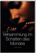 Versammlung im Schatten des Mondes