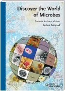 Discover the World of Microbes