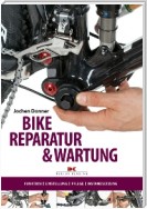 Bike-Reparatur