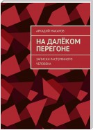 На далёком перегоне. Записки растерянного человека