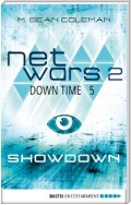 netwars 2 - Down Time 5: Showdown