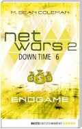 netwars 2 - Down Time 6: Endgame