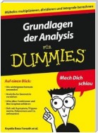 Grundlagen der Analysis für Dummies