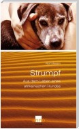 Strumpf – Aus dem Leben eines afrikanischen Hundes