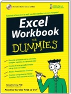 Excel Workbook For Dummies