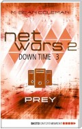 netwars 2 - Down Time 3: Prey