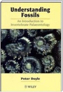Understanding Fossils