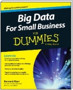 Big Data For Small Business For Dummies