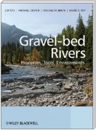 Gravel Bed Rivers