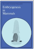 Embryogenesis in Mammals