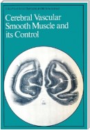 Cerebral Vascular Smooth Muscle and its Control