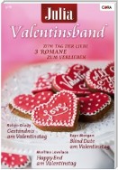 Julia Valentinsband Band 21